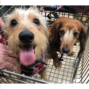 Meet your Posher, Mary